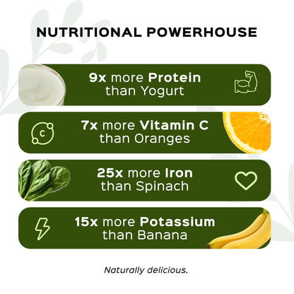 GSSB Tasty Flavoured Moringa Powder | 100% Natural Sugar-Free & Healthy Superfood | Energy & Wellness | 100g Pack