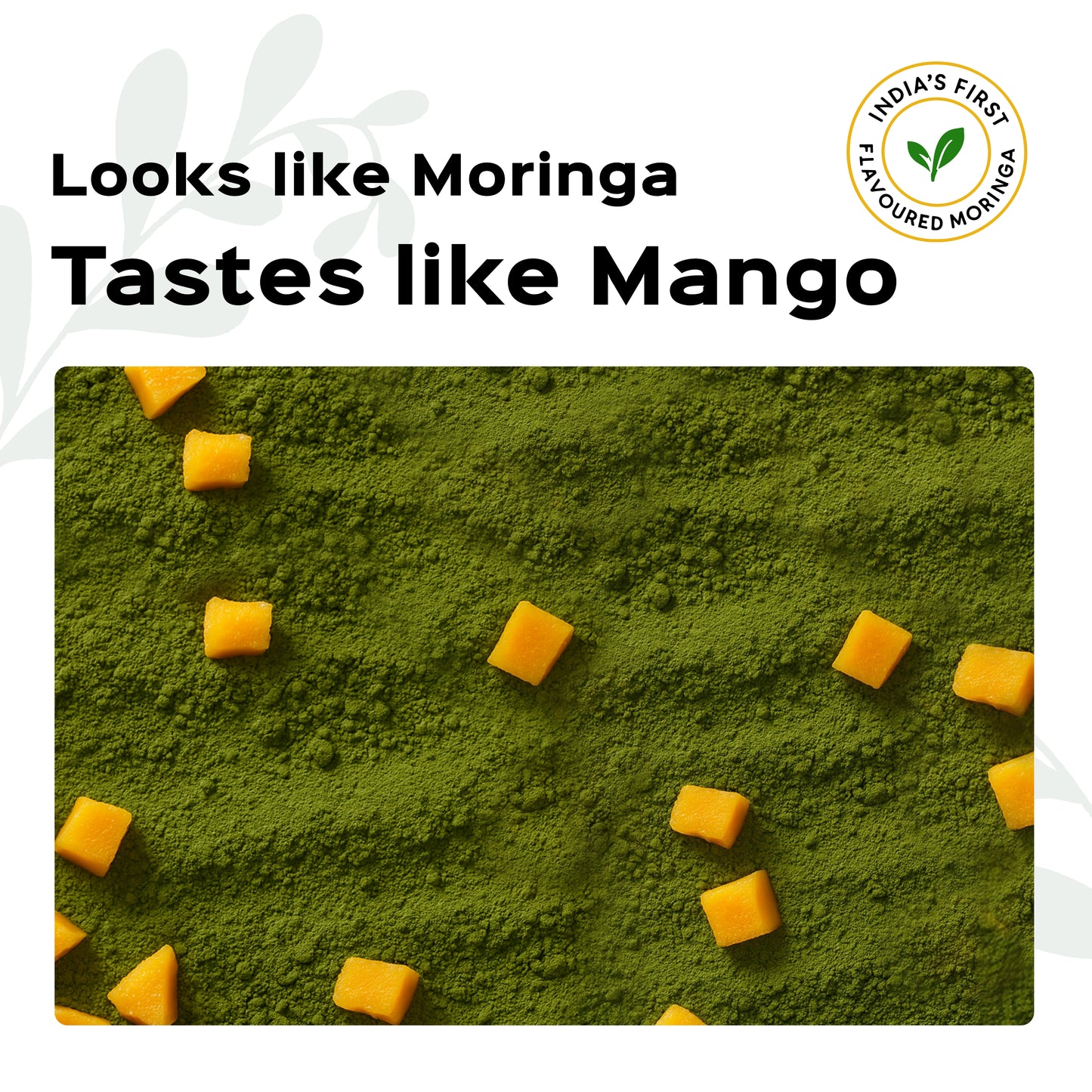 GSSB Tasty Flavoured Moringa Powder | 100% Natural Sugar-Free & Healthy Superfood | Energy & Wellness | 100g Pack